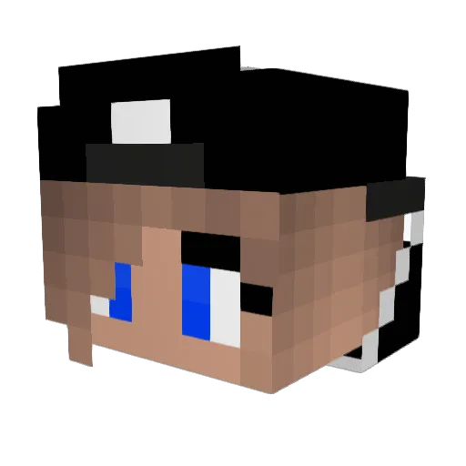MidnightAutumn Minecraft avatar head, 3D render