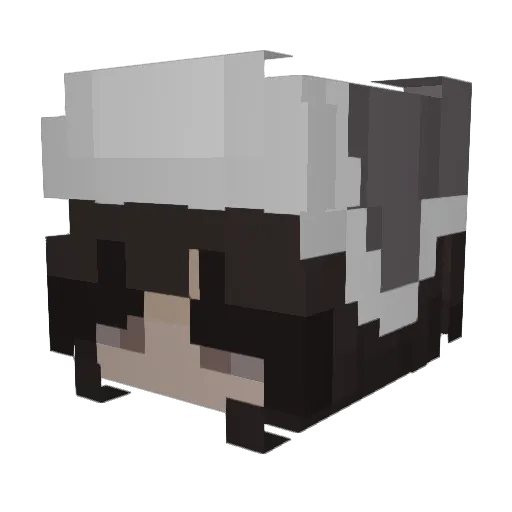 MidnightCharlie Minecraft avatar head, 3D render