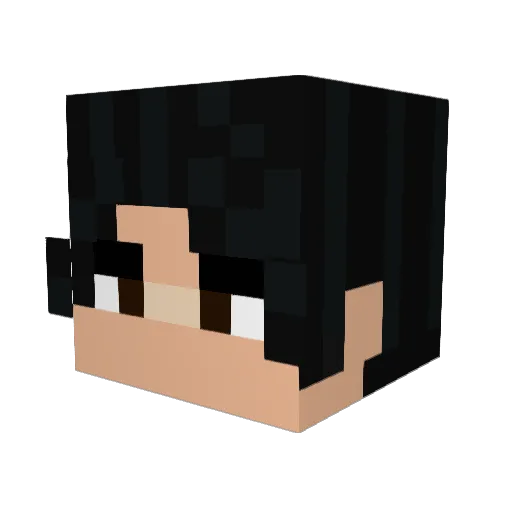 MidnightDan Minecraft avatar head, 3D render
