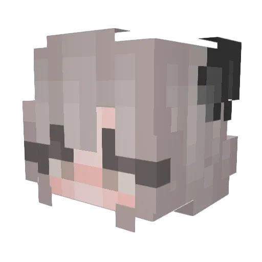 MidnightDreamer5 Minecraft avatar head, 3D render