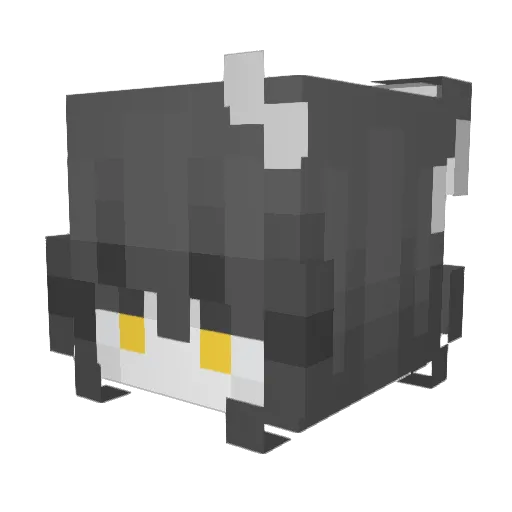 MidnightEyes1999 Minecraft avatar head, 3D render