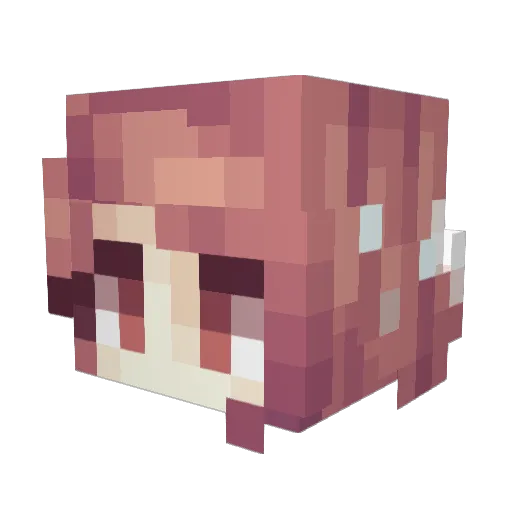MidnightInsomnia Minecraft avatar head, 3D render