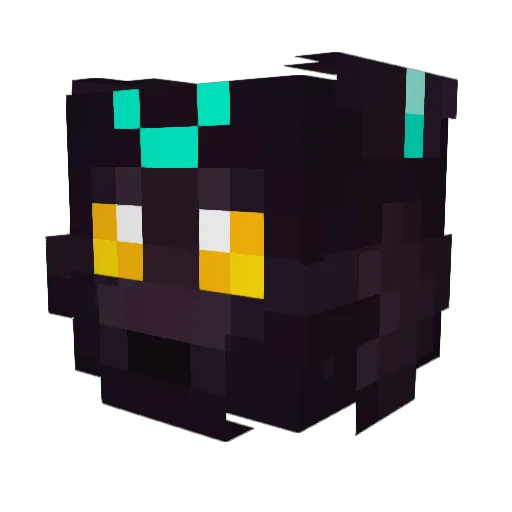 MidnightKitties Minecraft avatar head, 3D render