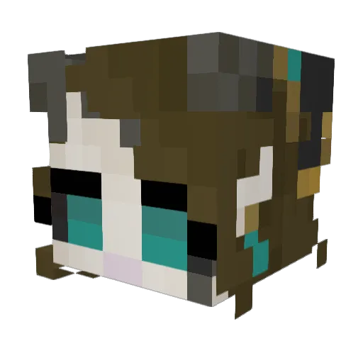 MidnightMelody1 Minecraft avatar head, 3D render