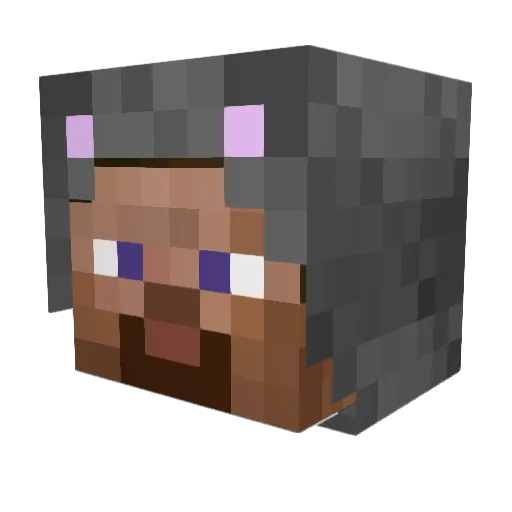 MidnightNota Minecraft avatar head, 3D render