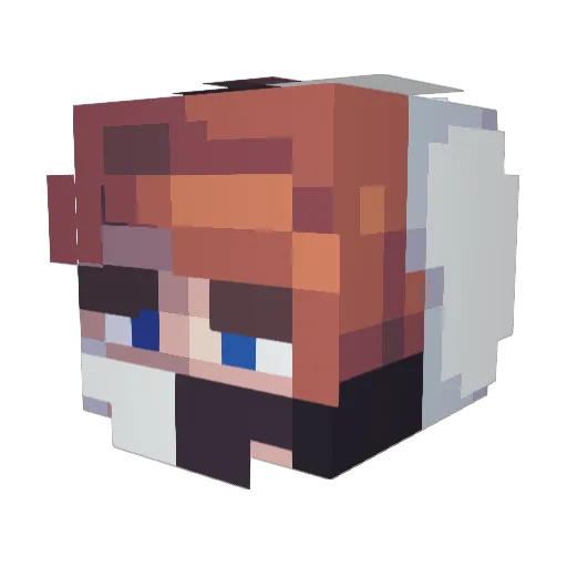 MidnightRogue Minecraft avatar head, 3D render