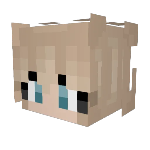 MidnightSky2111 Minecraft avatar head, 3D render