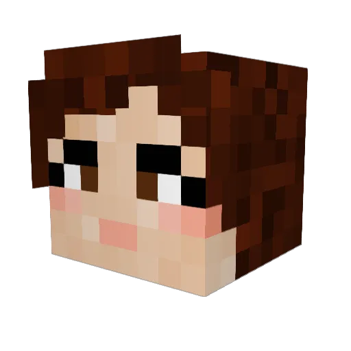 MidnightToast16 Minecraft avatar head, 3D render