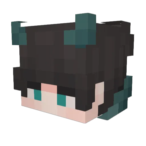 MidnightWhaleAlt Minecraft avatar head, 3D render