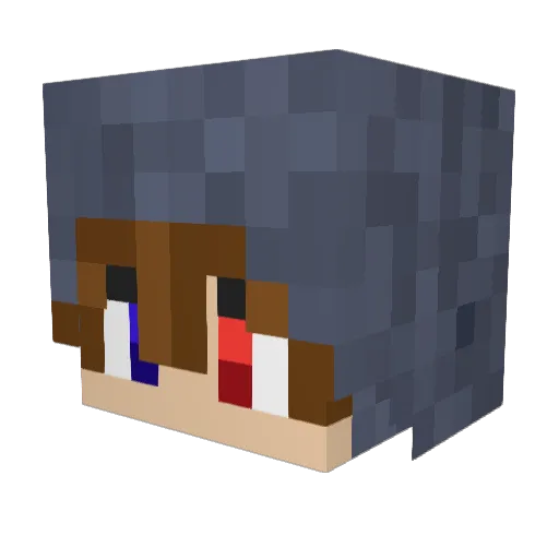 MidnightZiege Minecraft avatar head, 3D render
