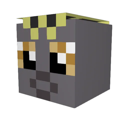 Midnight_Blaze_ Minecraft avatar head, 3D render