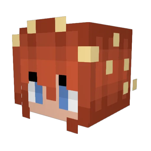 Midnight_FoxFire Minecraft avatar head, 3D render