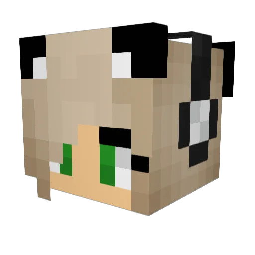 Midnight_Gamer13 Minecraft avatar head, 3D render