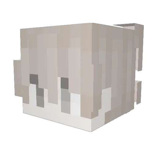 Midnight_boi Minecraft avatar head, 3D render