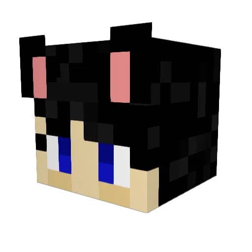 Midnightkitkat Minecraft avatar head, 3D render