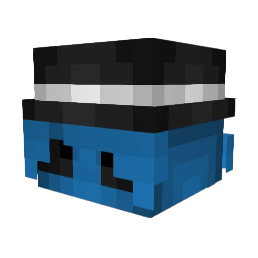 MidnightsOutis Minecraft avatar head, 3D render
