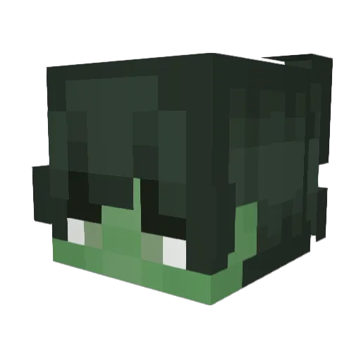 MidniteLmao Minecraft avatar head, 3D render