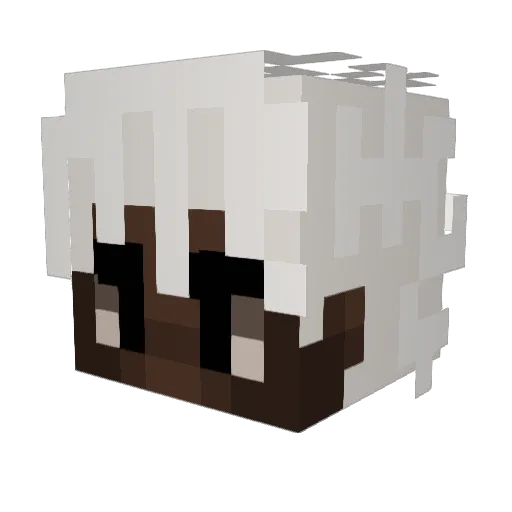 Midori_XD Minecraft avatar head, 3D render