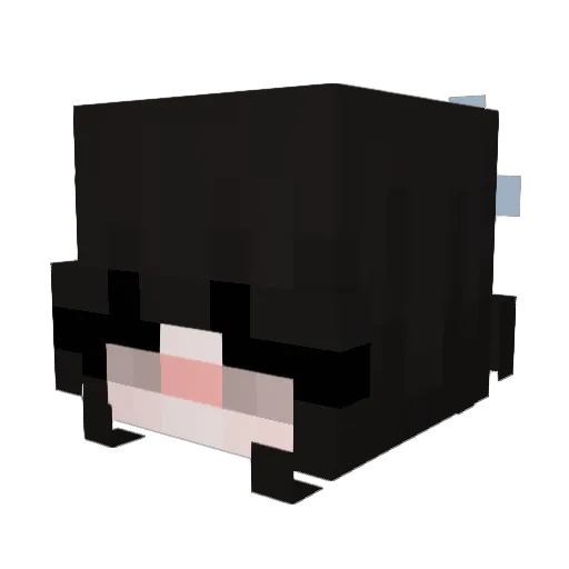 Midyy Minecraft avatar head, 3D render