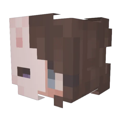 Miecraftcookie6 Minecraft avatar head, 3D render