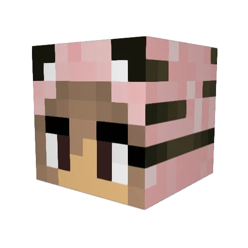Miek_1 Minecraft avatar head, 3D render