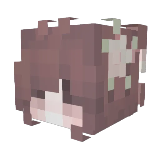 Mielumi Minecraft avatar head, 3D render