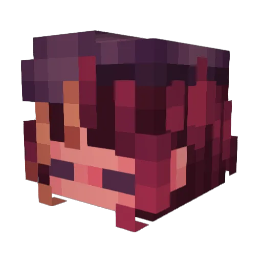 Miena_ Minecraft avatar head, 3D render
