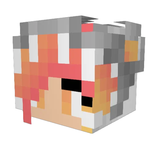 MientkiWafel Minecraft avatar head, 3D render
