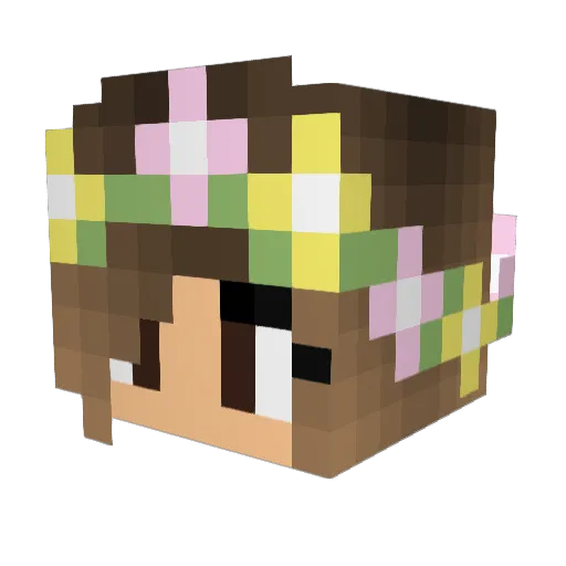 Miertje00 Minecraft avatar head, 3D render