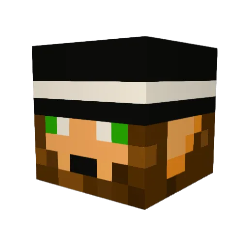 Mietek55 Minecraft avatar head, 3D render