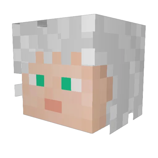 Migalhoveske Minecraft avatar head, 3D render
