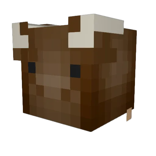 MightyBuffalo123 Minecraft avatar head, 3D render