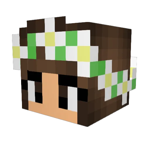 MightyFluffyKiwi Minecraft avatar head, 3D render