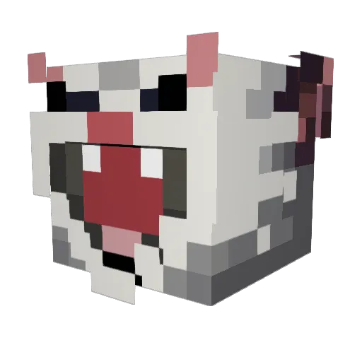 MightyMouse5040 Minecraft avatar head, 3D render