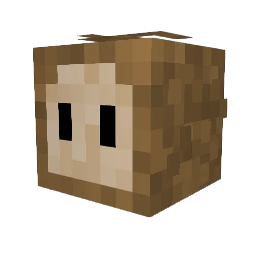 MightyToast80 Minecraft avatar head, 3D render