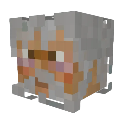 MightyWizardCat Minecraft avatar head, 3D render