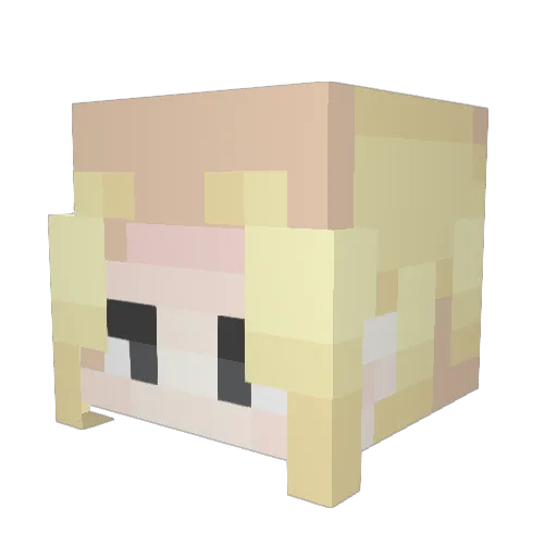 Migimichi Minecraft avatar head, 3D render