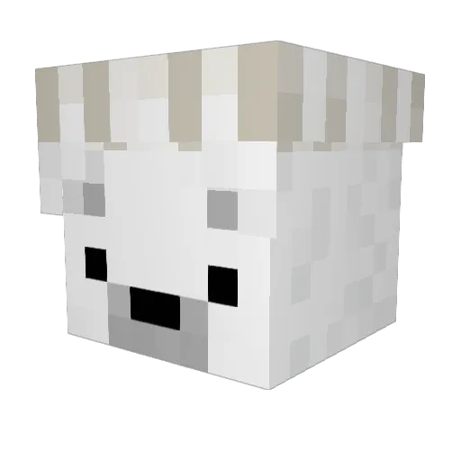Migs1108 Minecraft avatar head, 3D render