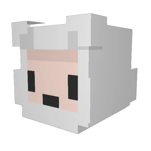 MiguelGYT Minecraft avatar head, 3D render