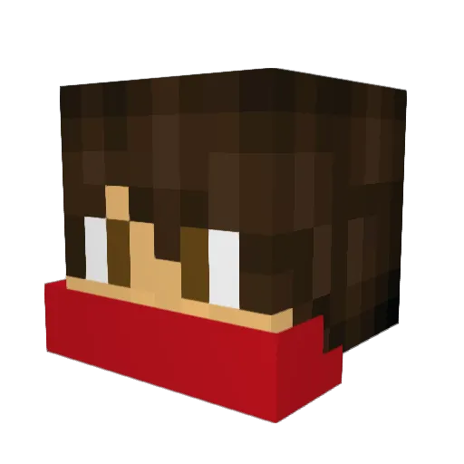 MiguelN14 Minecraft avatar head, 3D render
