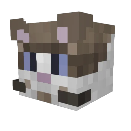 MiguelNexus7 Minecraft avatar head, 3D render