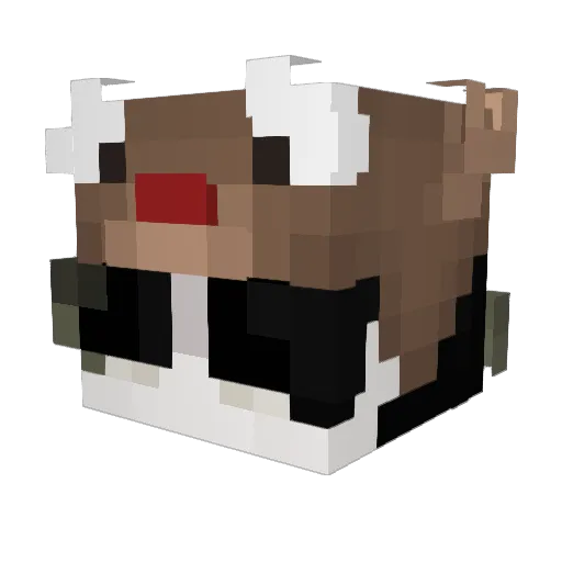 Miguel_893 Minecraft avatar head, 3D render
