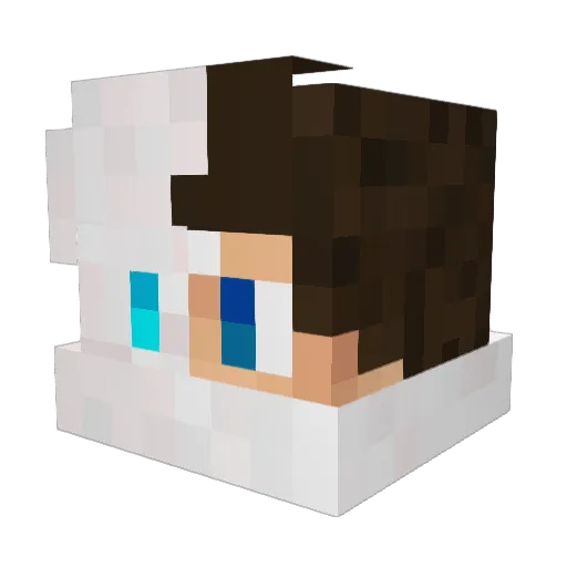 Miguelito1401 Minecraft avatar head, 3D render