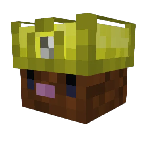 Miguell19 Minecraft avatar head, 3D render
