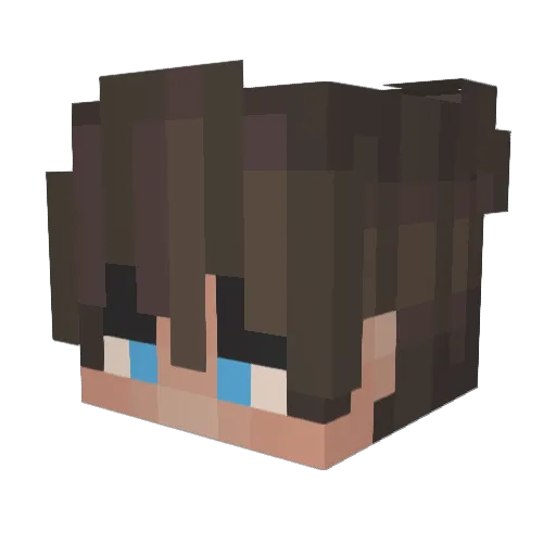 Miguell2010 Minecraft avatar head, 3D render