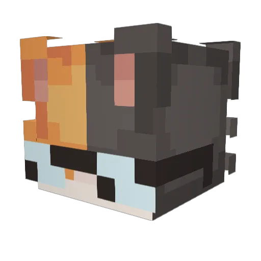 Miguur Minecraft avatar head, 3D render