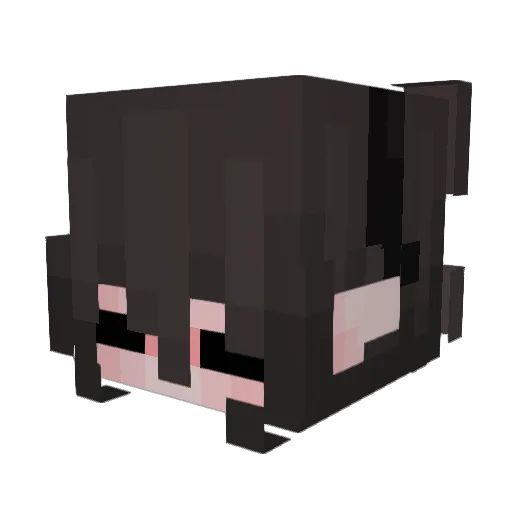 Mihahu Minecraft avatar head, 3D render