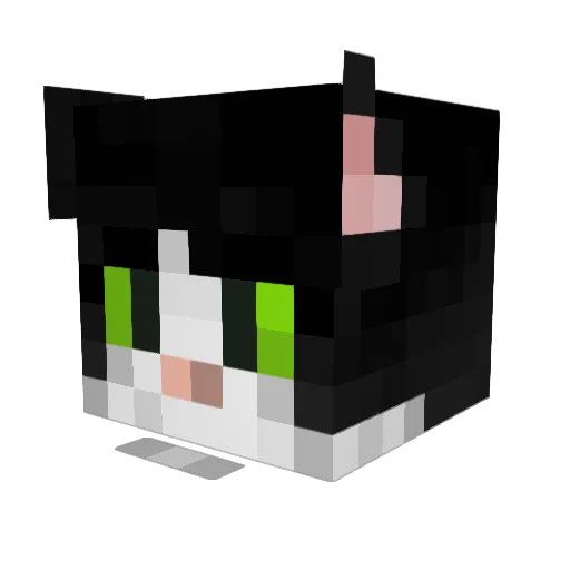 MihaiProPVP Minecraft avatar head, 3D render