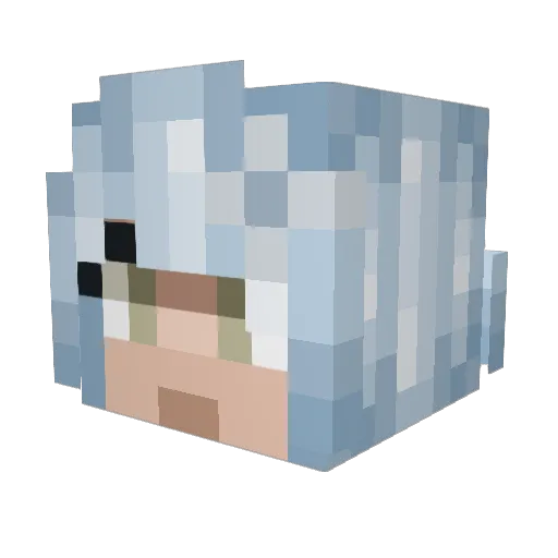 Mihalobotomy Minecraft avatar head, 3D render