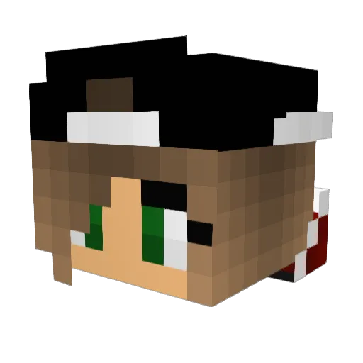 Mii17 Minecraft avatar head, 3D render